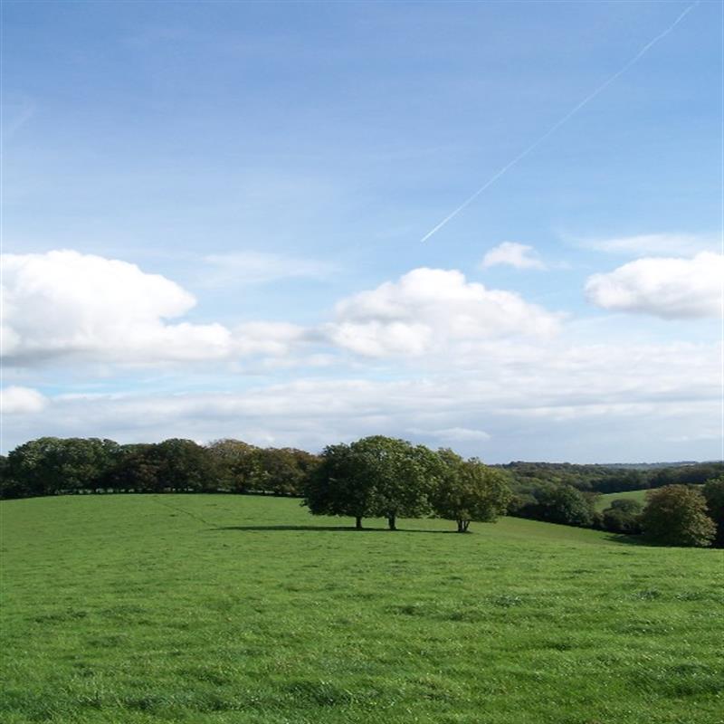 CHILTERN HILLS