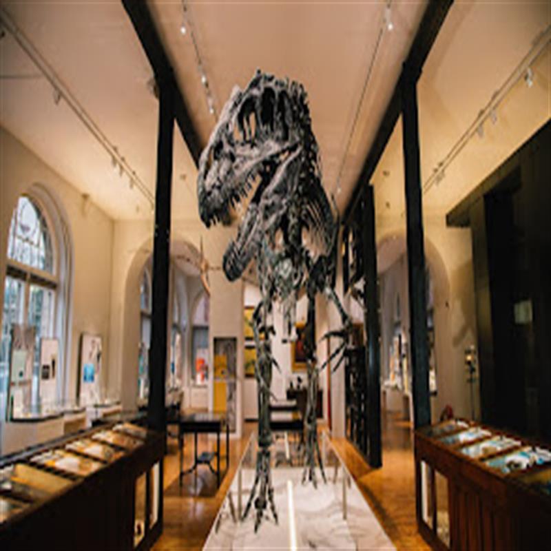 The Lapworth Museum of Geology