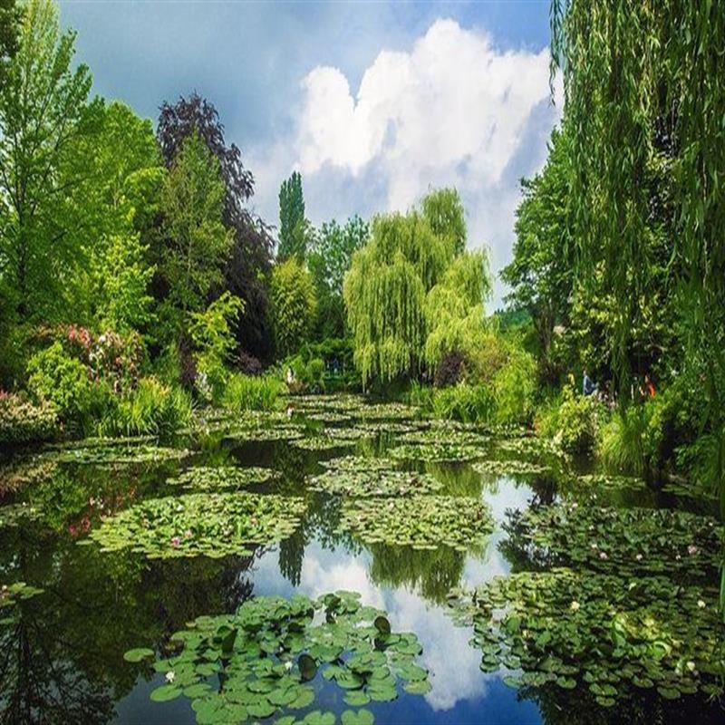 Giverny: Monet’s House and Gardens Skip-the-Line Walking Tour