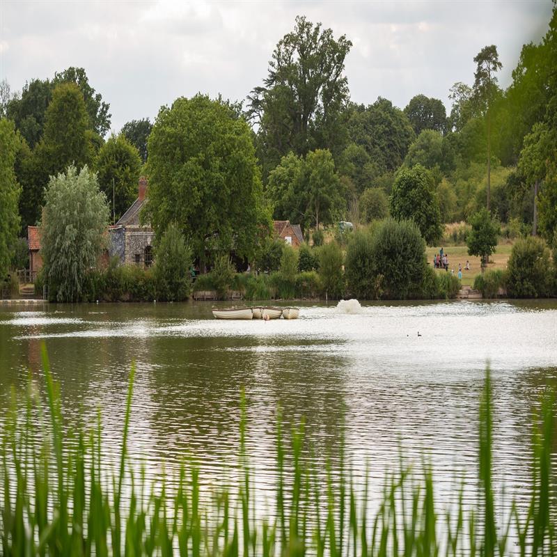 Hatfield forest britian