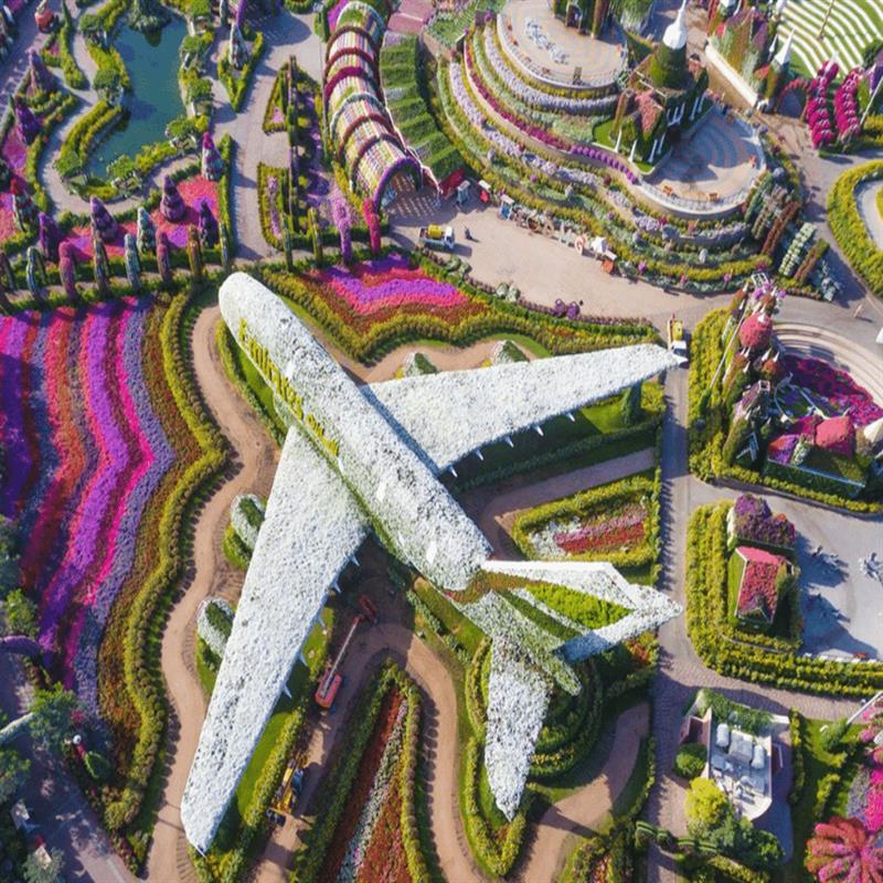 Discovering Dubai Miracle Garden