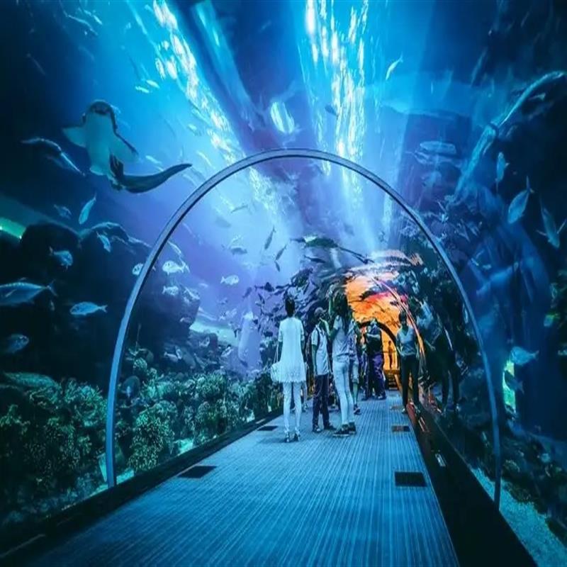 Dubai Aquarium & Underwater Zoo